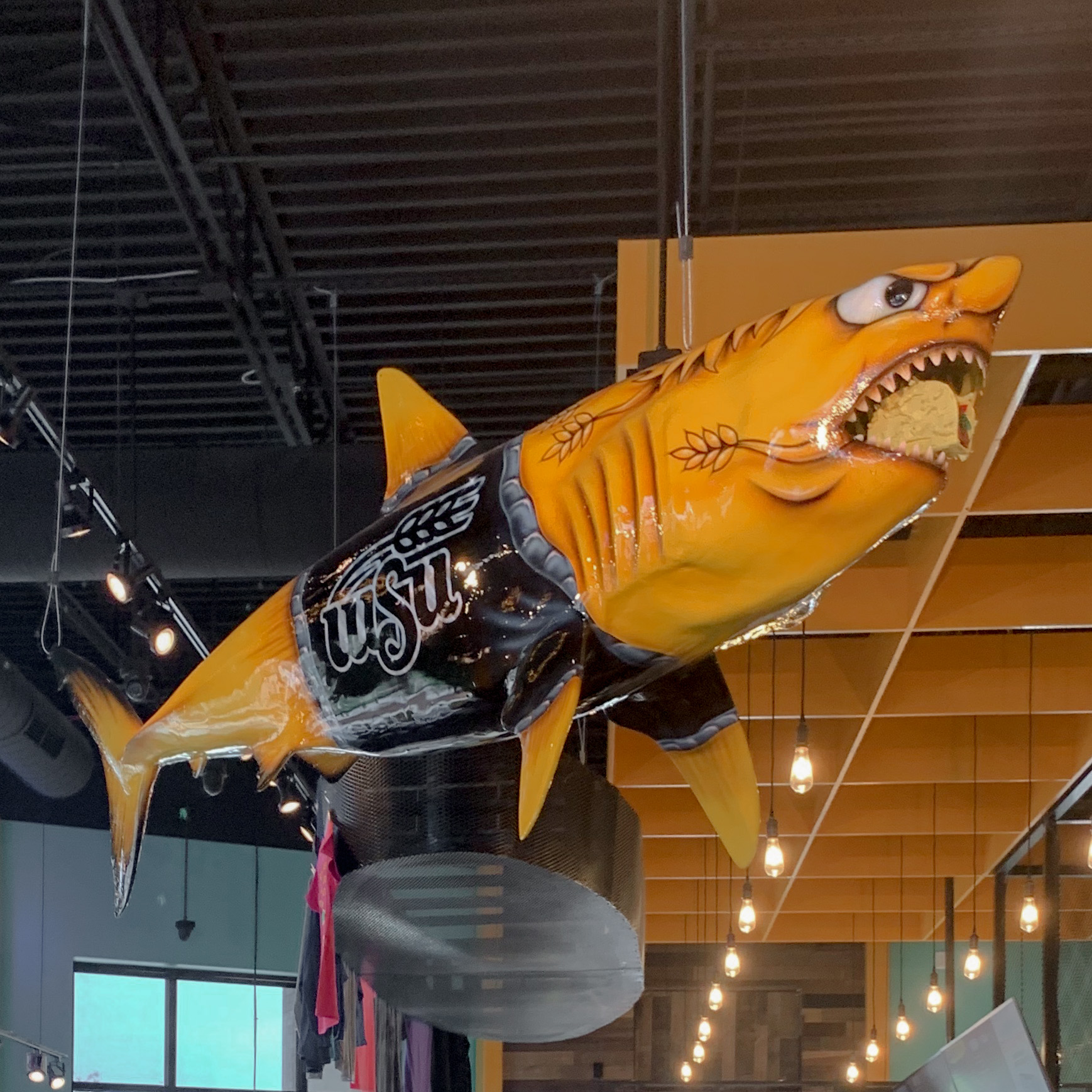 Image of WSU Shark